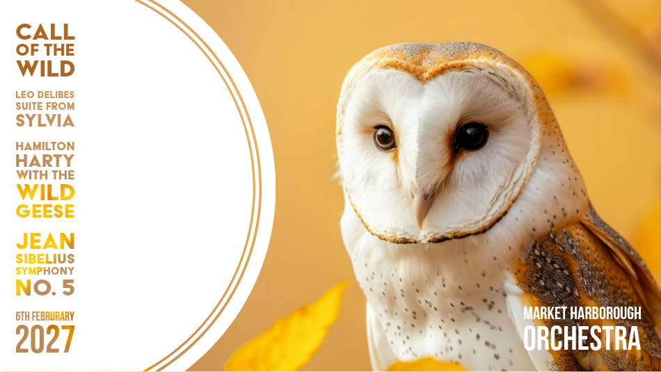 Banner for Call of the Wild